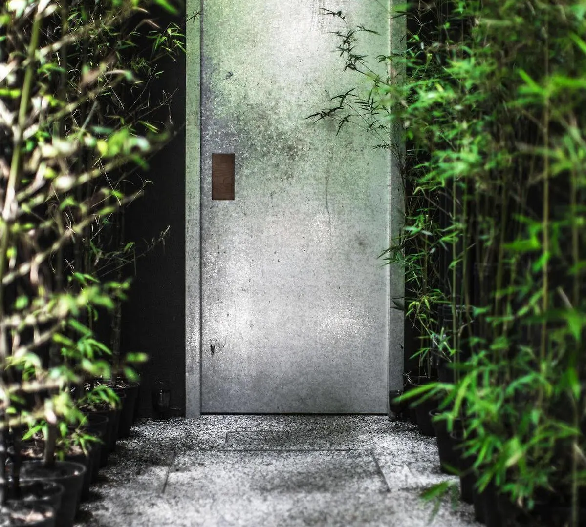 Tuve Hotel 香港